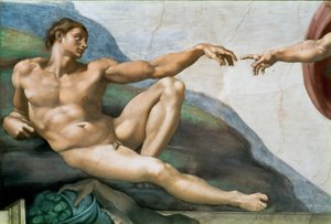 Die Erschaffung Adams. Detail der Sixtinischen Kapelle im Vatikan, 1508-1512 von Michelangelo Buonarroti