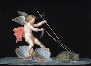 Amor wird von Schildkröten geführt von Michelangelo Maestri