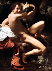 Johannes der Täufer in der Wüste von Michelangelo Merisi da Caravaggio