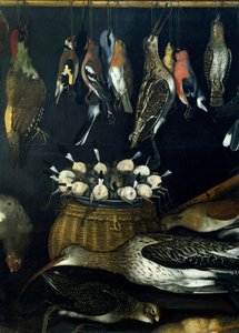 Stillleben mit Vögeln (Detail) von Michelangelo Merisi da Caravaggio