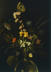 Stillleben mit Blumen und Früchten von Michelangelo Merisi da Caravaggio