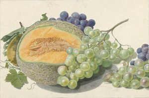 Eine Melone, Trauben, ein Pfirsich und Haselnüsse von Michiel Van Huysum