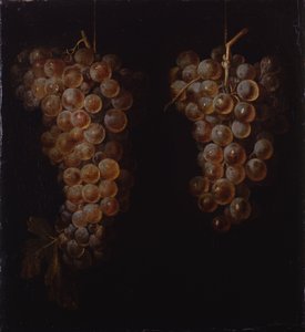 Traubenbündel von Miguel de Pret