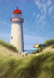 Tag in den Dünen von Mike Briscoe