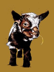 Babyziege auf Goldgelb, 2020
