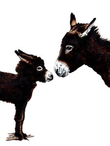 Eselmutter und Baby auf Weiß, 2020