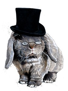 Humbug Hase auf Weiß, 2020