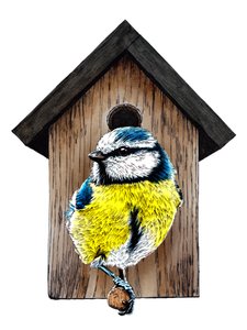 Neues Zuhause Blaumeise auf Weiß, 2020 von Mike Davis