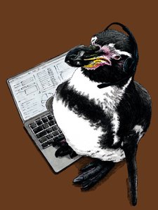 Neuer Job Pinguin auf Gebranntem Orange, 2020