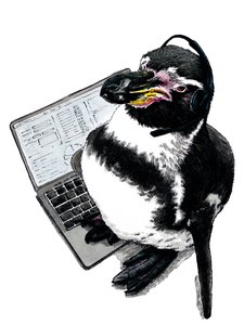 Neuer Job Pinguin auf Weiß, 2020
