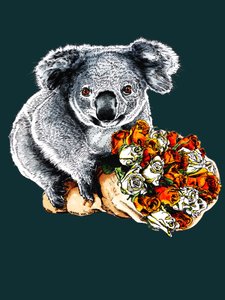 Danke Koala auf Tiefcyan, 2020