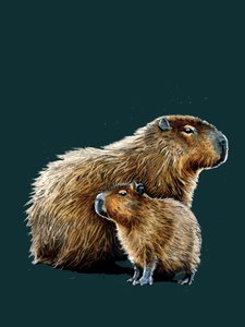 Die Capybaras auf Tiefem Cyan
