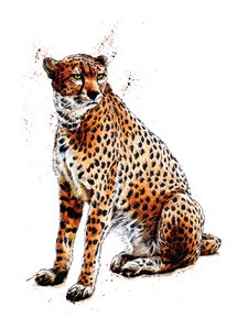 Der Gepard auf Weiß, 2020 von Mike Davis