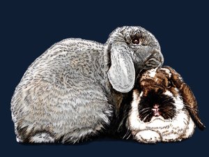 Denkanstoß Hasen auf Mitternachtsblau, 2020 von Mike Davis