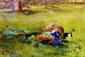 Pfauen von Mildred Anne Butler
