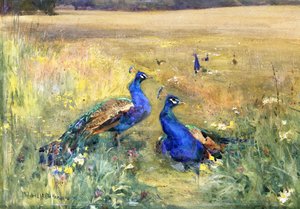 Pfauen auf einem Feld von Mildred Anne Butler