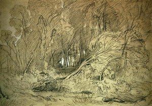 Eine Lichtung im Wald von Miles Edmund Cotman