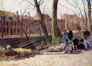 Blumenmarkt, Haarlem