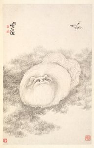 Katze und Schmetterling, 1788