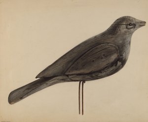 Lockvogel (Möwe)