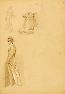 Studien von Sculante