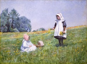 Butterblumen und Gänseblümchen