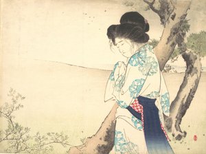Die verrückte Frau von Yawata Yawata no kyojo, Frontispiz eines Romans
