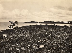 „Ein Imperium aufbauen“ im faschistischen Zeitalter: Tana-See, Äthiopien, 09/05/1936 von Modestino Baldinetti