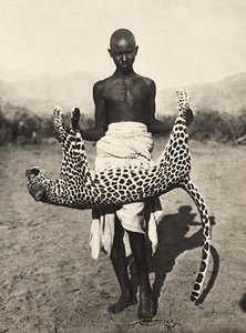 „Ein Imperium aufbauen“ im faschistischen Zeitalter: Einheimischer zeigt einen Leoparden, 09/05/1936 von Modestino Baldinetti