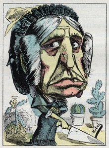 Allegorie der „Stiefmutter“ (Belle mère) in „Le Trombinoscope“ von Touchatout, Karikatur von B. Moloch von 1882 (1849-1909). Private Sammlung von Moloch