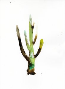 König Cardon, 2021 von Monica Perez Vega