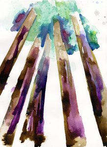 Sequoia 3 von Monica Perez Vega