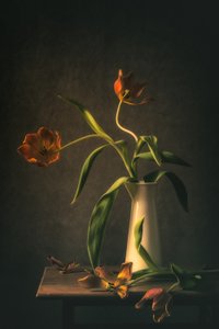 Stimmungsvolles Tulpen-Stillleben