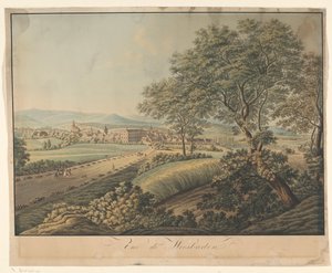 Ansicht von Wiesbaden von Monogrammist DS (graveur)