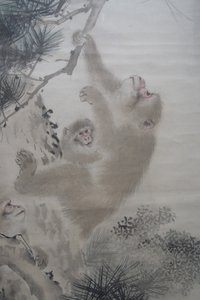 Mori Sosen, Affen in den Kiefern vor einem Wasserfall von Mori Sosen