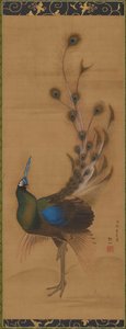 Pfau