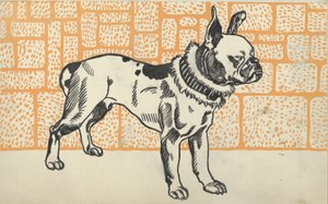 Pitbull Terrier von Moritz Jung