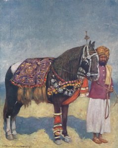 Ein Pferd aus Jodhpur, 1903 von Mortimer L Menpes