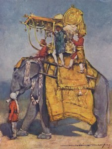 Ein Staatselefant in voller Pracht, 1903