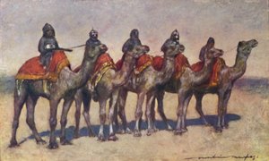 Bewaffnete Kamelreiter aus Bikanir, 1903