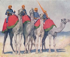 Kamelreiter aus Alwar, 1903