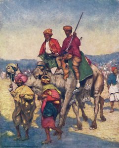 Kamele aus Mysore, 1903