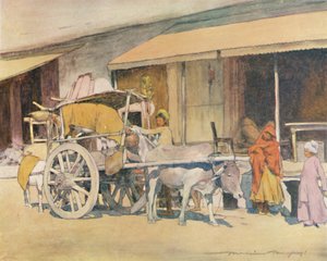 Ein Ochsenkarren, Ajmere, 1905