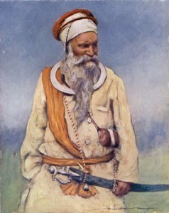 Ein Sikh-Krieger