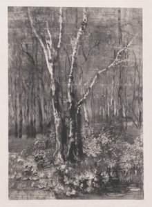Wälder im Park bei Monza von Mose Bianchi
