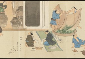 Illustrationen der Uji-Teeproduktion