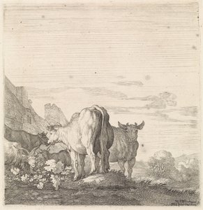 Kühe und Ziegen in einer Landschaft mit Häusern (Vierfüßige Tiere)
