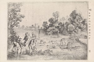 Ureinwohner Amerikas pflücken Tabak von Moyses van Wtenbrouck