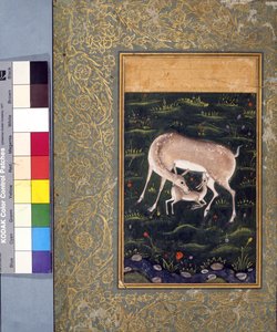 Eine Hirschkuh, die ihr Rehkitz säugt, ca. 1560