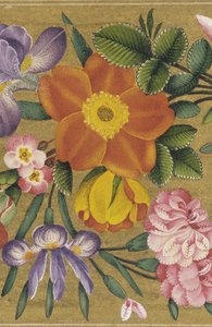 Seite aus dem St. Petersburg Album, Indien, 1727 (Farbe auf Goldgrund)